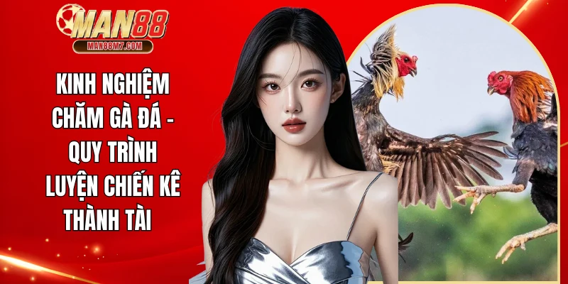 Kinh nghiệm chăm gà đá